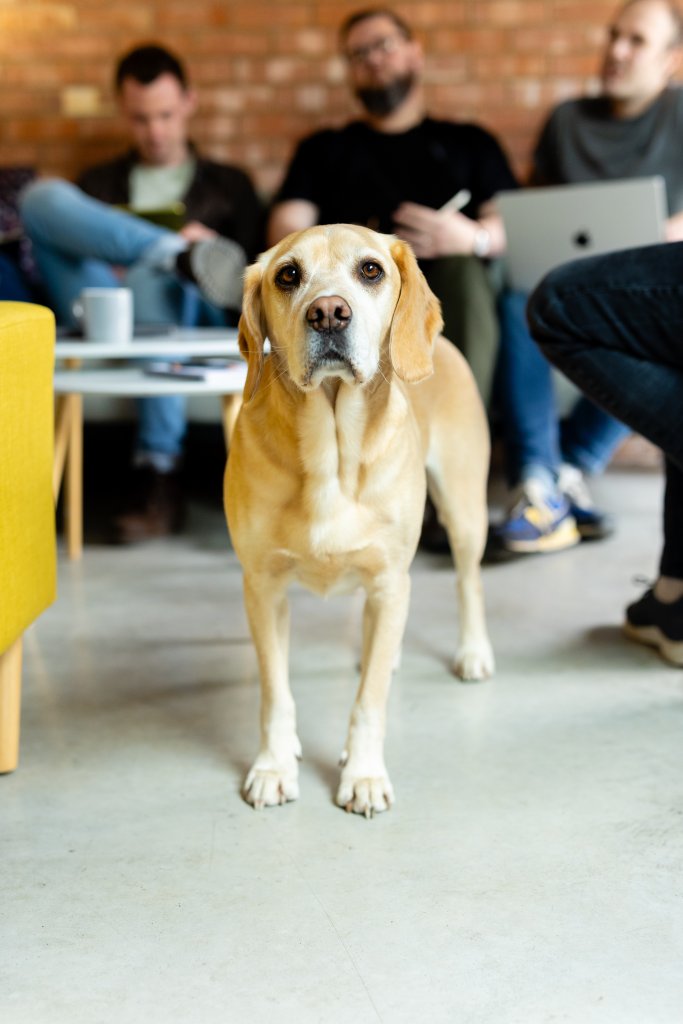 Oscar - Studio manager