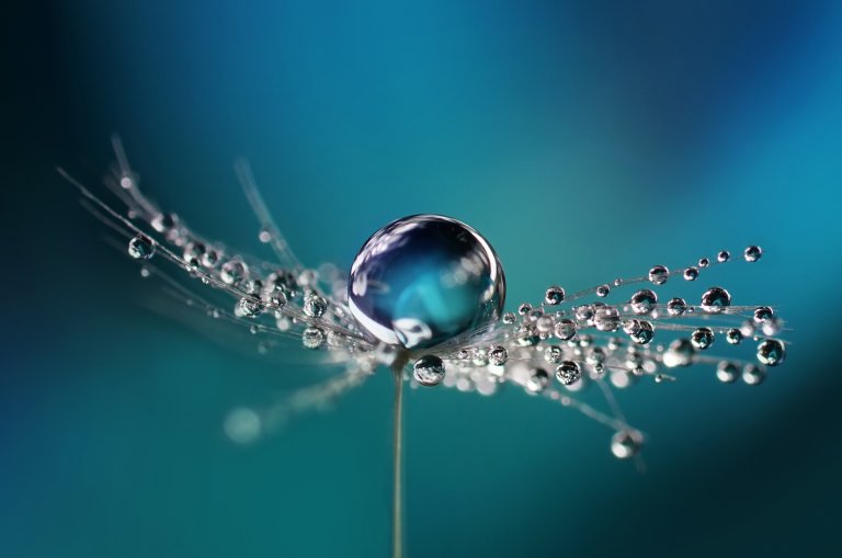 Liqueo imagery