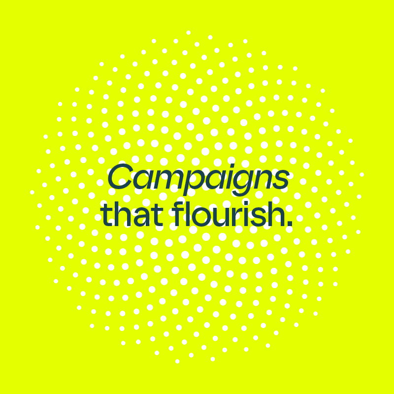 Campaigns that flourish