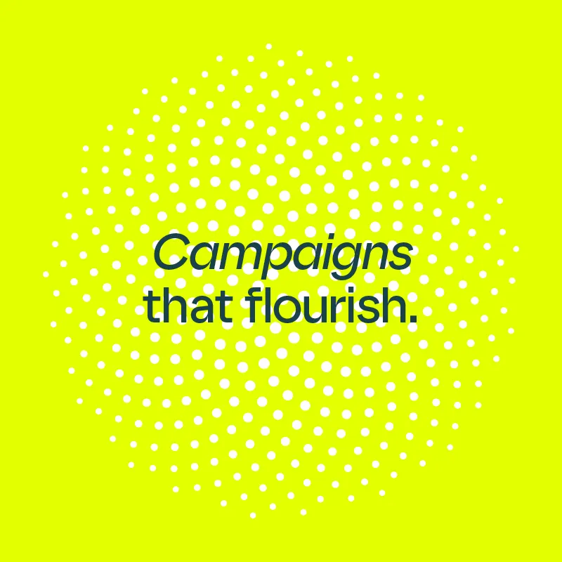 Campaigns that flourish