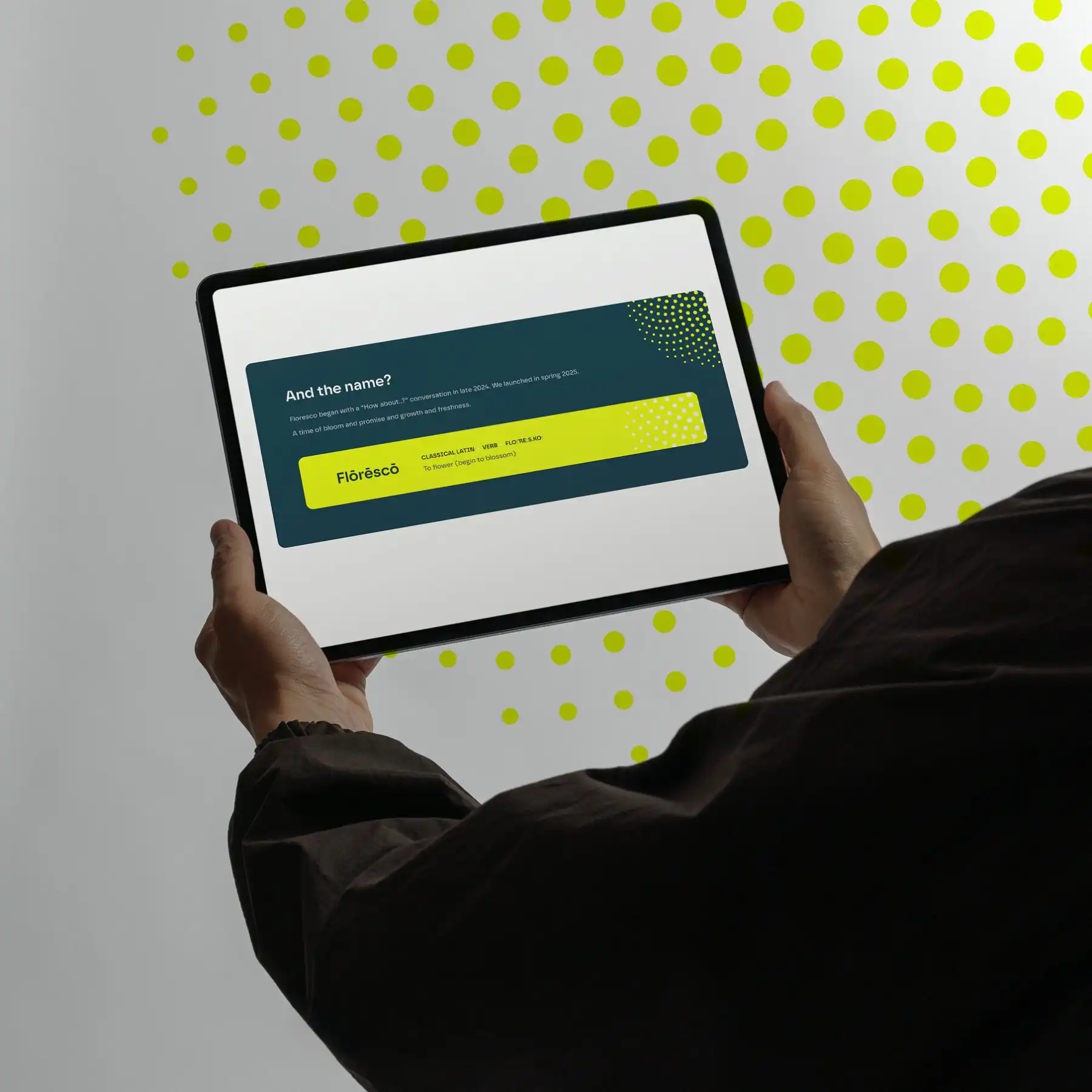 Paid media agency website on tablet
