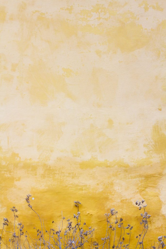 Yellow Peach web design agency