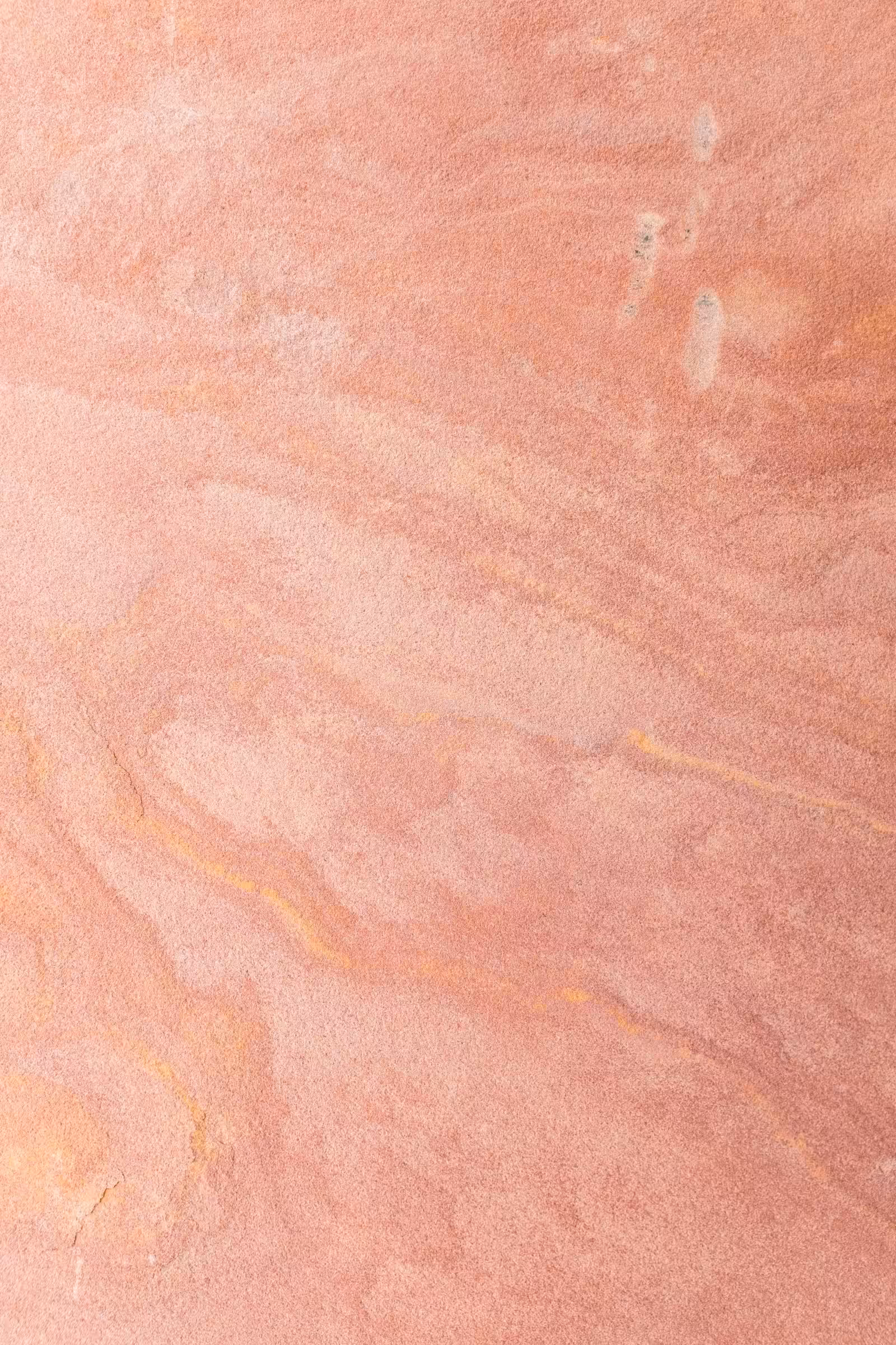 Yellow Peach web design agency