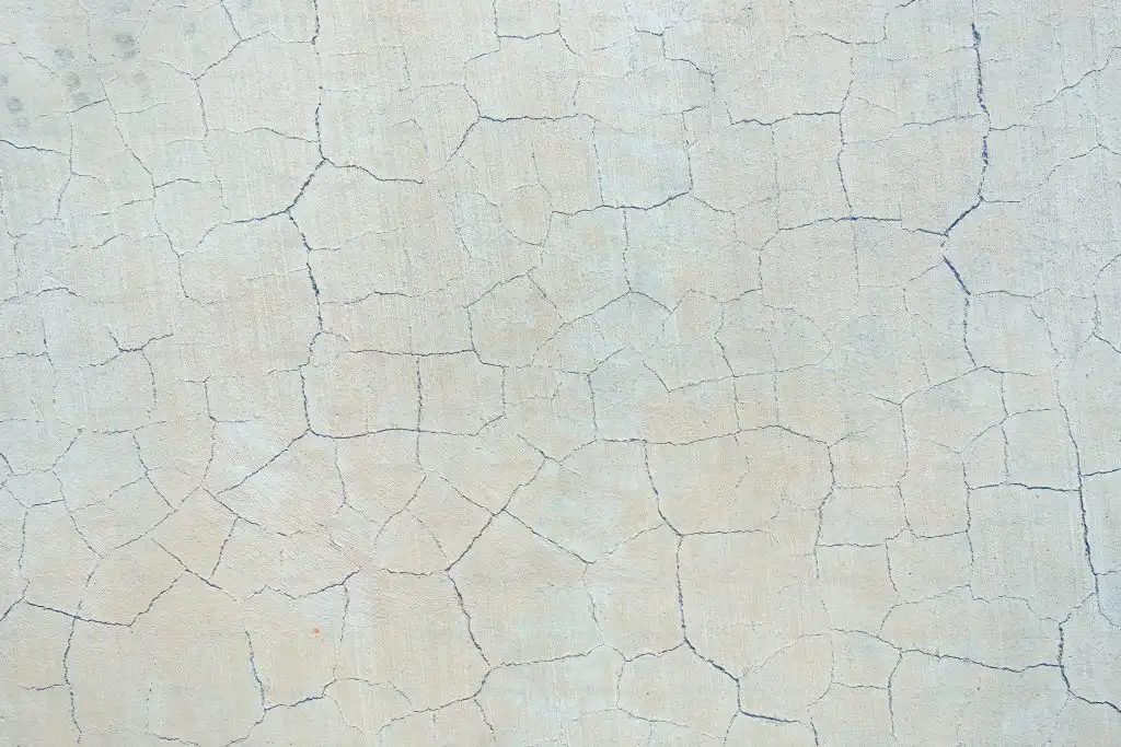 Yellow Peach web design agency