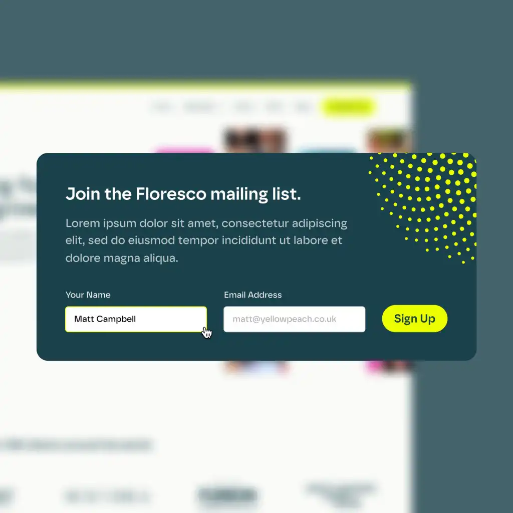 Newsletter signup UI