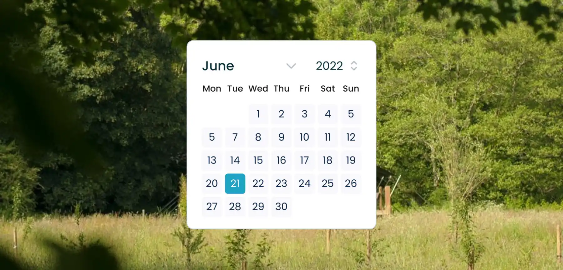Property calendar ui design