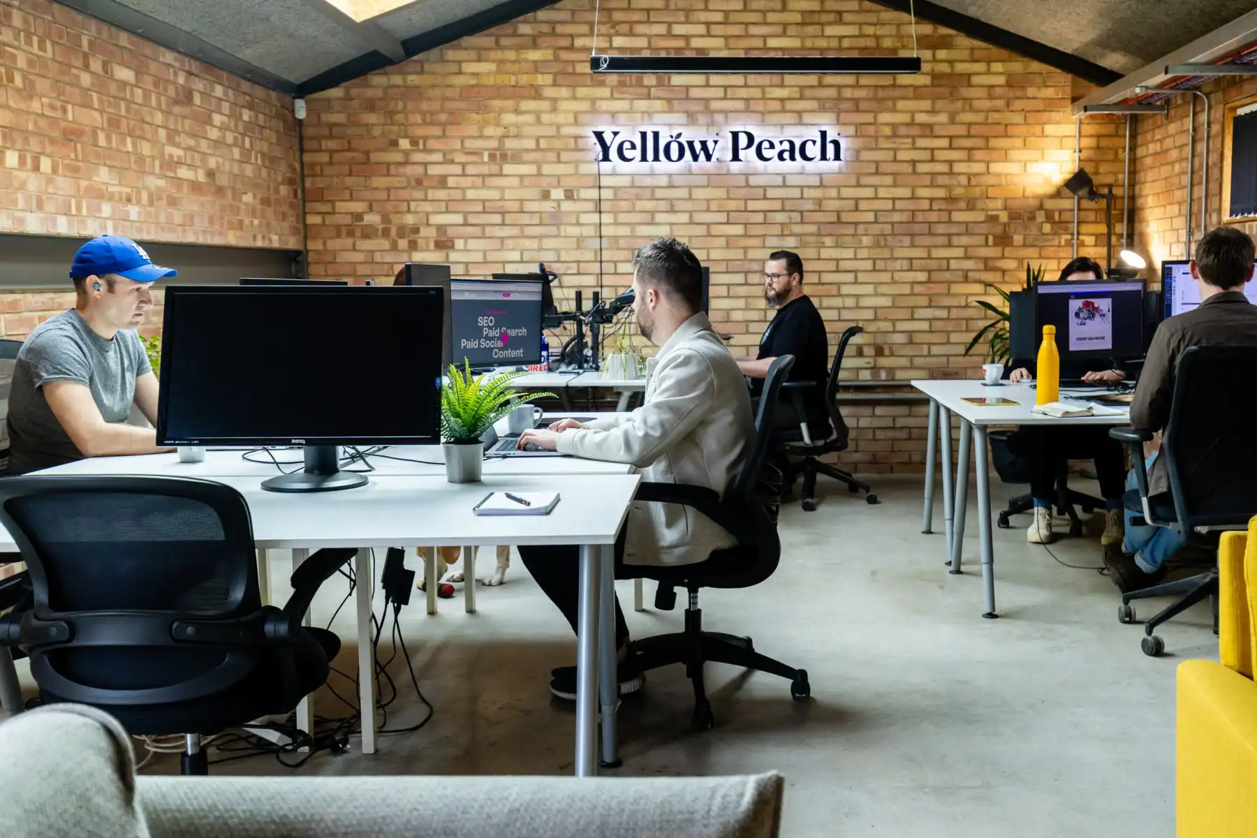 Yellow Peach team