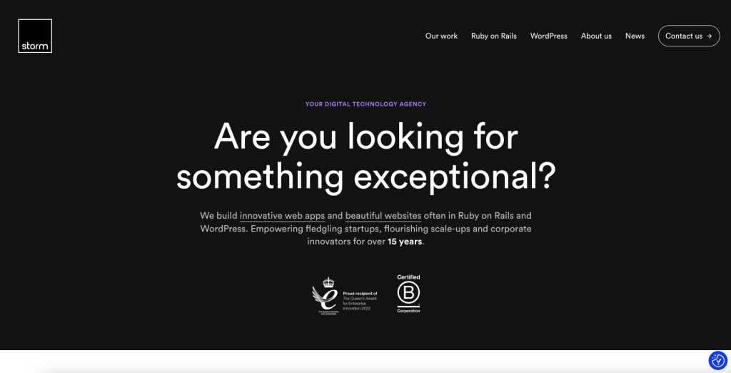 Storm Consultancy laravel agency